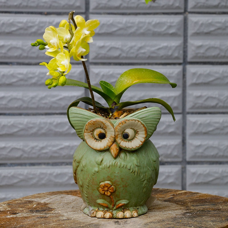 WhimsiOwl Keramisk Sukkulentkrukke – Moderne Dekorativ Potte med Ugledesign