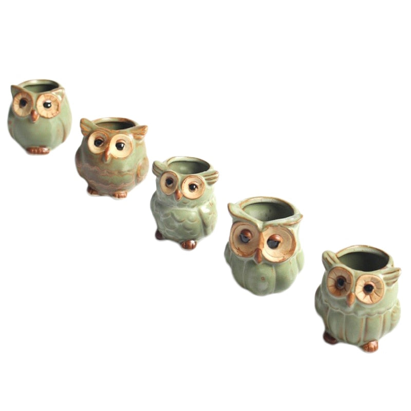 WhimsiOwl Keramisk Sukkulentkrukke – Moderne Dekorativ Potte med Ugledesign