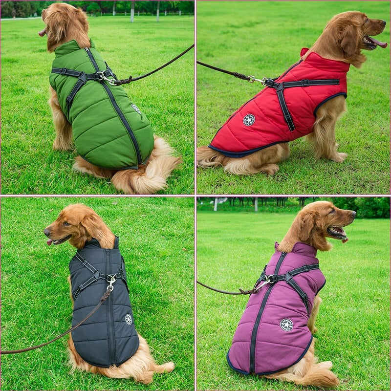 GoldPaw - Quiltet hundejakke med indbygget sele til Golden retrievere