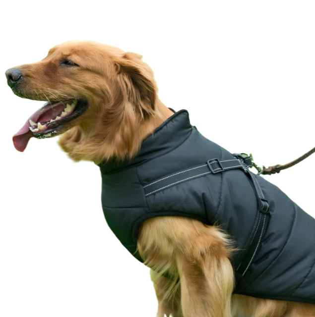 GoldPaw - Quiltet hundejakke med indbygget sele til Golden retrievere