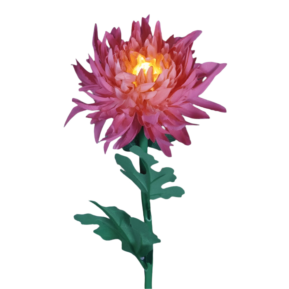 BloomGlow solcelledrevne havelamper – Farveskiftende LED-udendørs dekoration