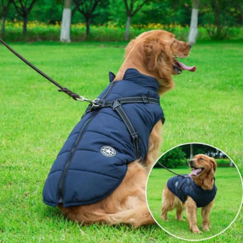 GoldPaw - Quiltet hundejakke med indbygget sele til Golden retrievere
