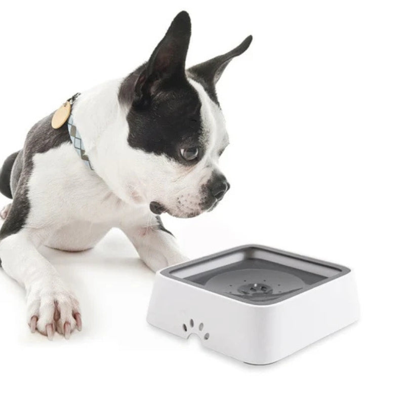 PawSip – Spildsikker flydende vandskål til hunde og katte