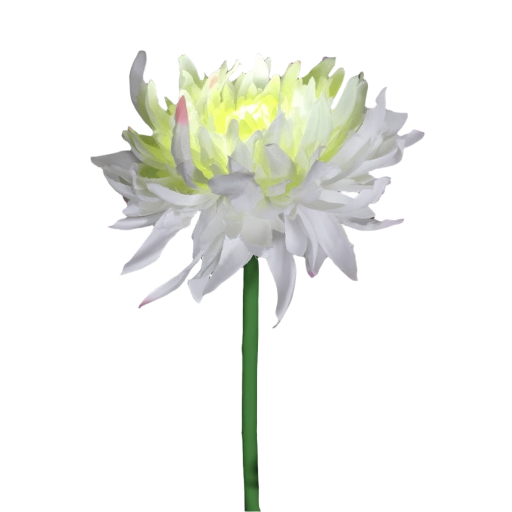 BloomGlow solcelledrevne havelamper – Farveskiftende LED-udendørs dekoration
