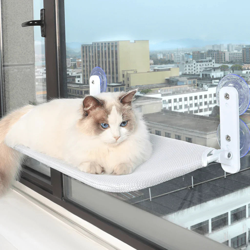 Foldbar Vindueshængekøje til Kat med Aftageligt Cover og Stærk Støtte