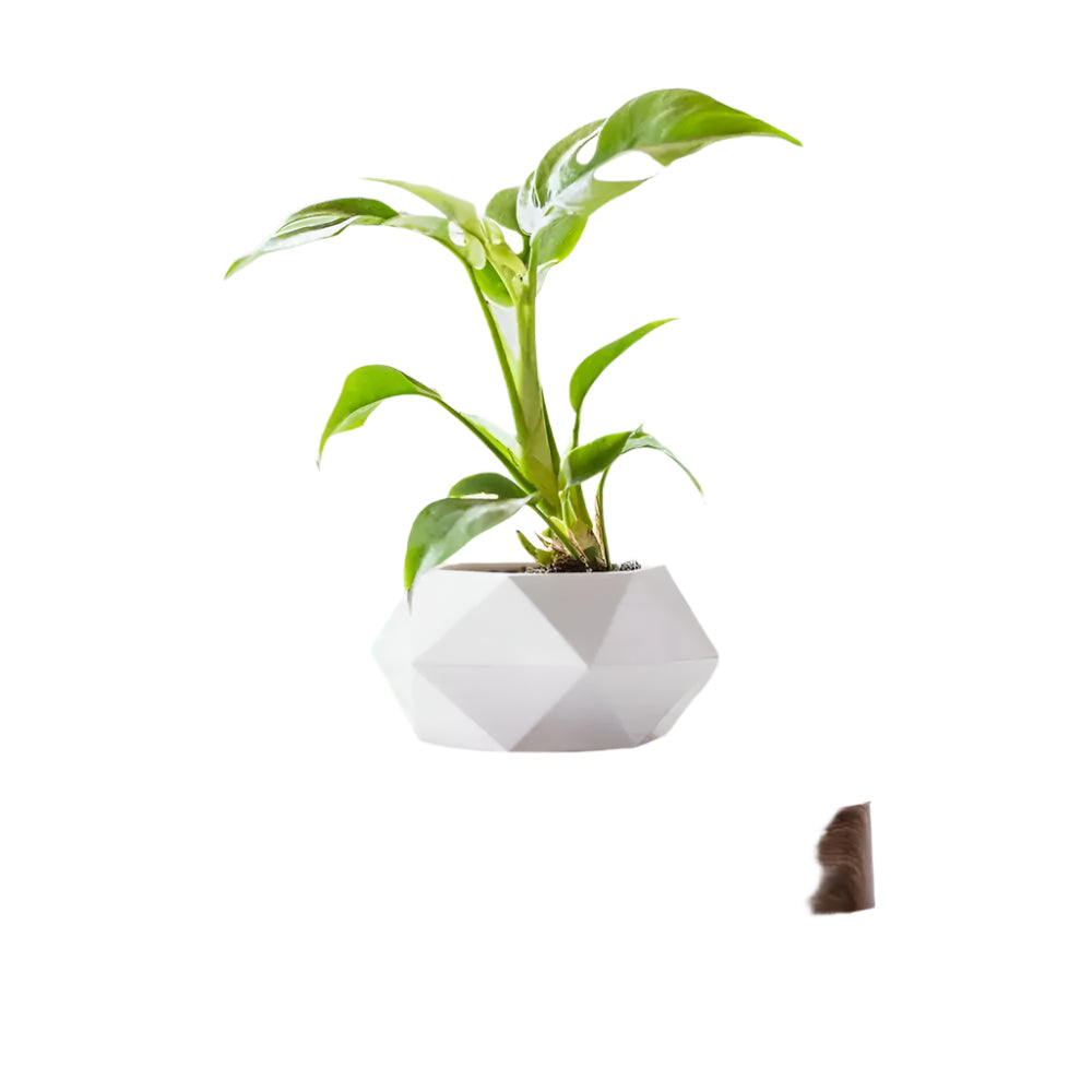 GeoSpin roterende geometrisk plantekasse