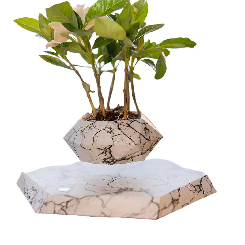 GeoSpin roterende geometrisk plantekasse