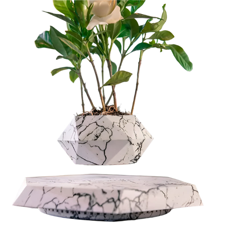 GeoSpin roterende geometrisk plantekasse