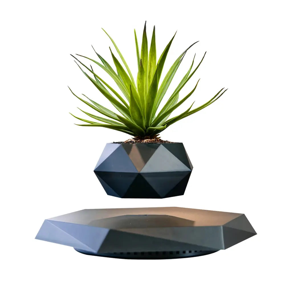 GeoSpin roterende geometrisk plantekasse