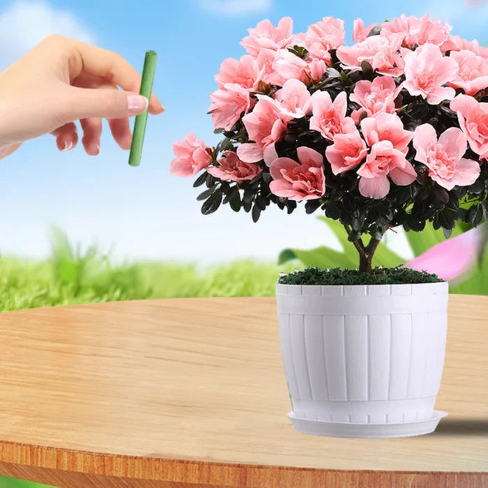 EcoBloom Næringsstifter – Langtidsholdbar gødning til nem og bæredygtig plantepleje