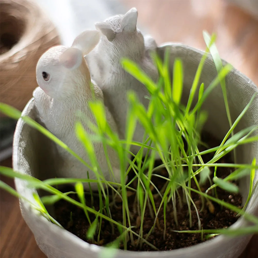 MiniGreen Pocket Planter – Kompakt indendørs og udendørs plantekasse