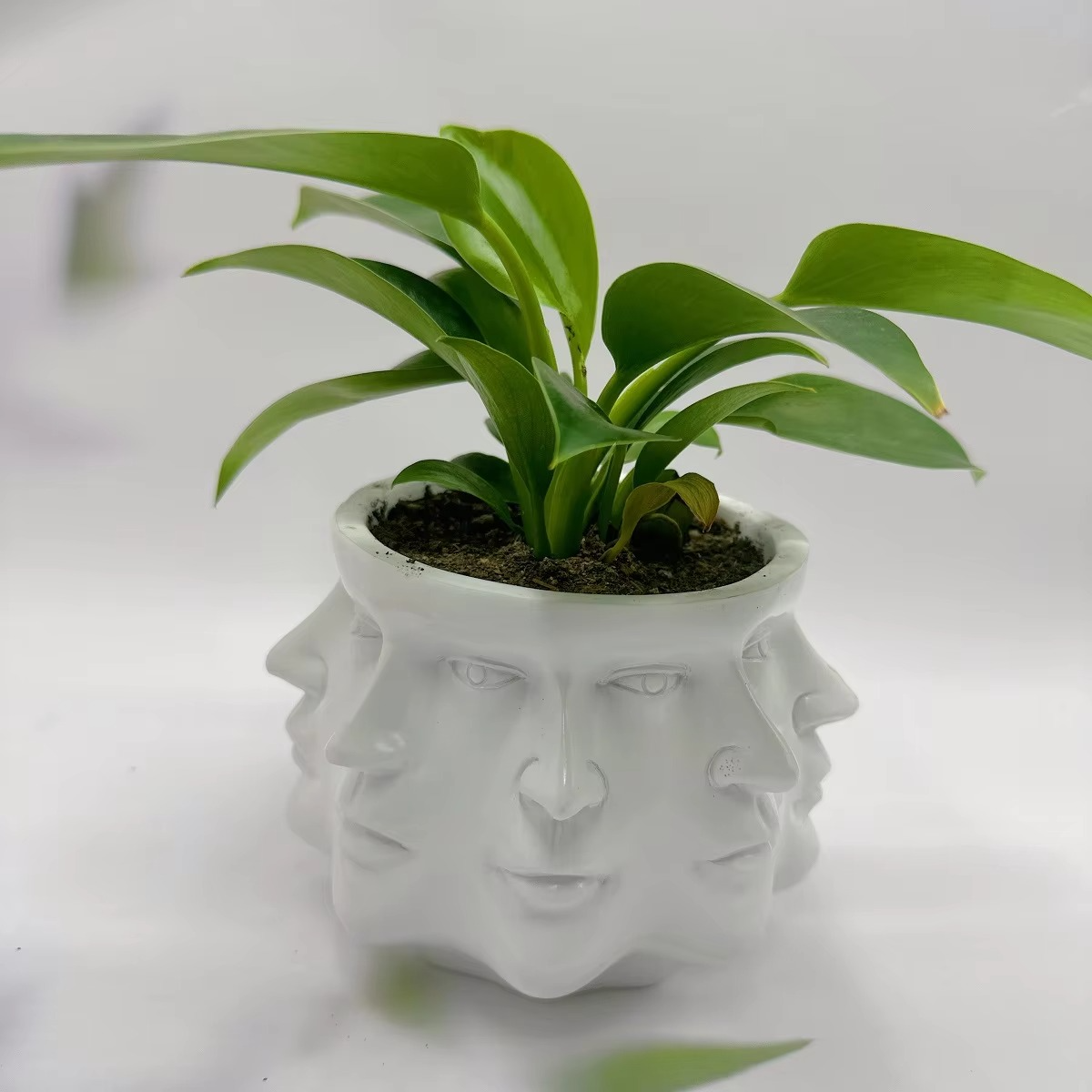 ArtFace 3D Keramisk Plantekrukke – Moderne Ansigtsdesign Potte