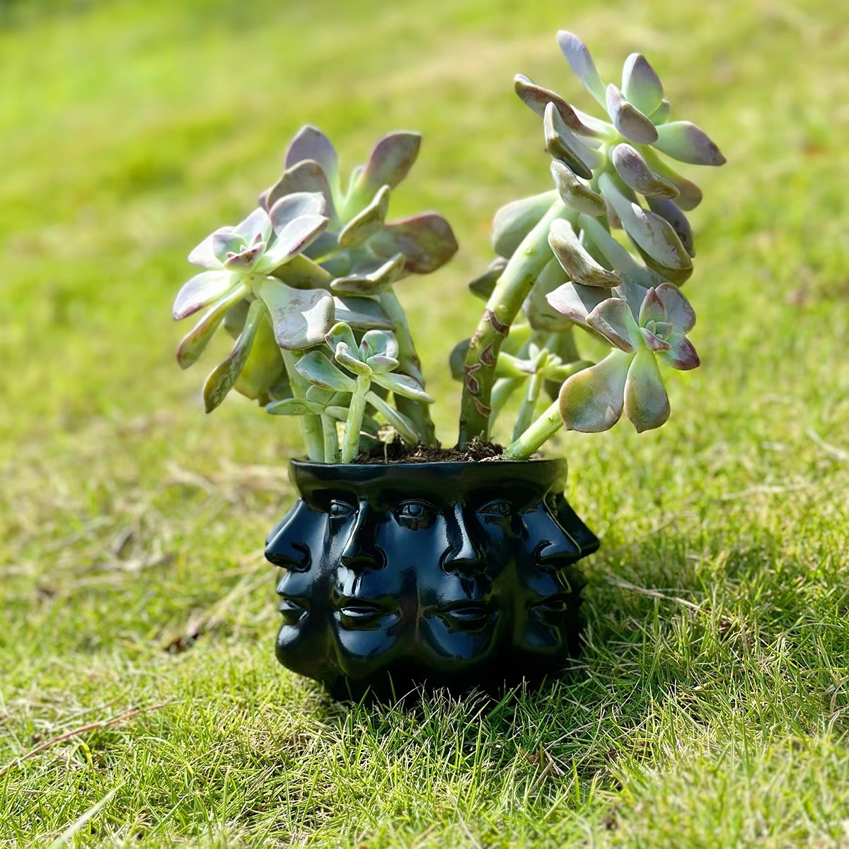 ArtFace 3D Keramisk Plantekrukke – Moderne Ansigtsdesign Potte