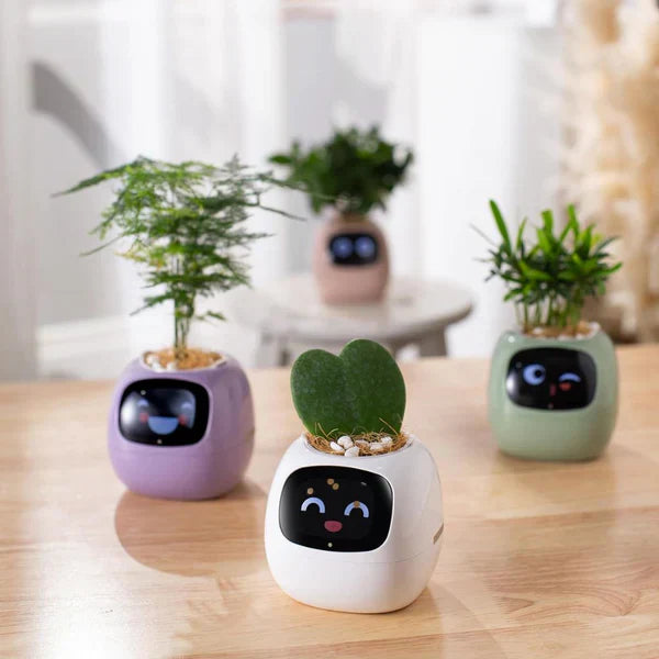 PlantPal Smart Interactive Planter – AI-drevet potte med animeret display og miljøsensorer
